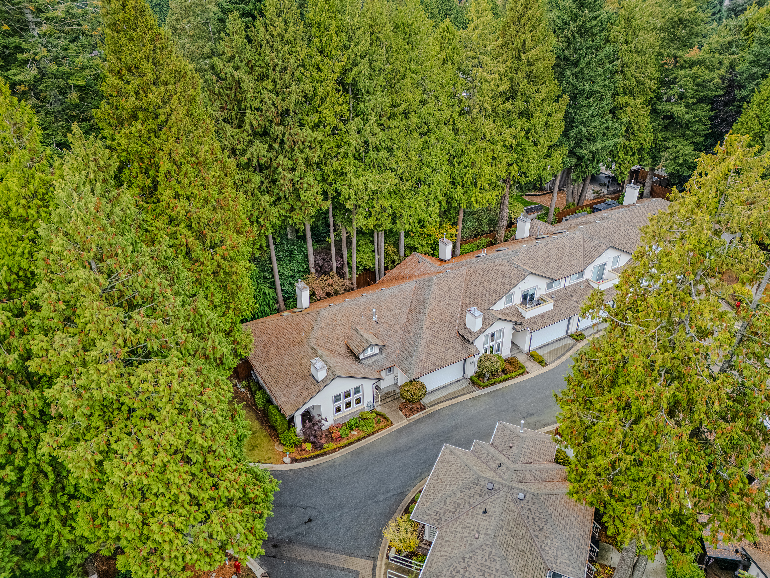 6 - 13911 16 Ave, Surrey